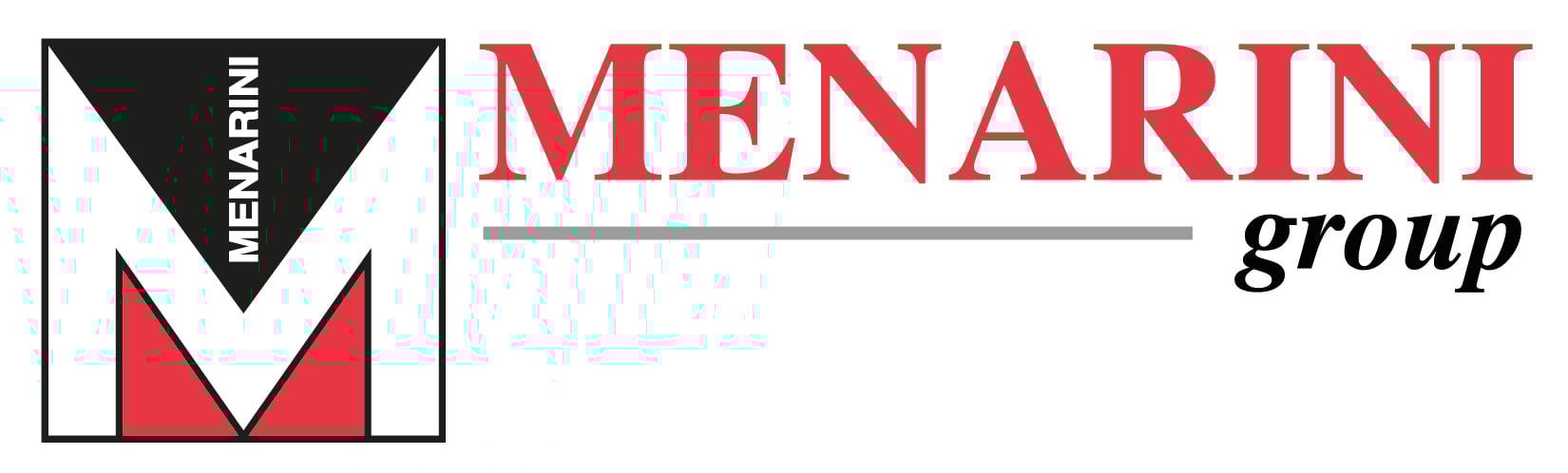 MENARINI GROUP Logo